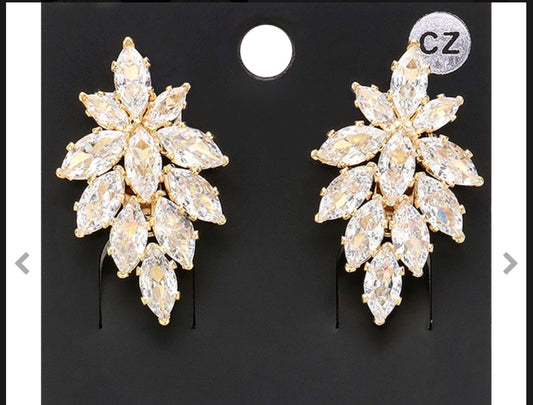 Assorted Clip on earrings